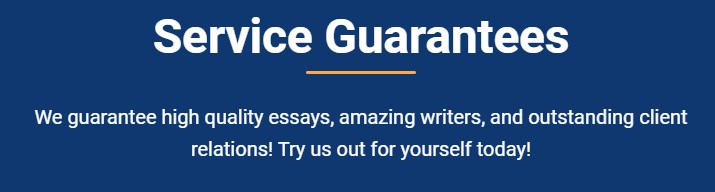 essayservice_guarantees